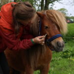 brenda geeft guasha op het hoofd