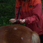 Brenda meet met de lecher-antenne